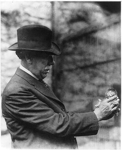 Photograph of William Blackburne