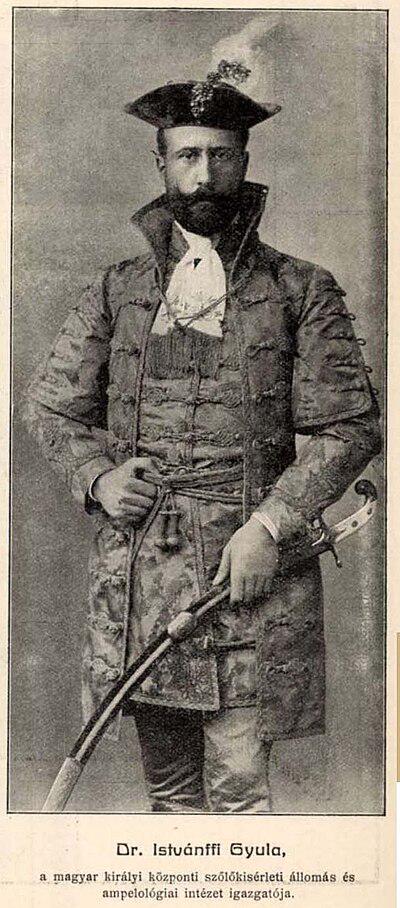 Photograph of Gyula Istvánffi