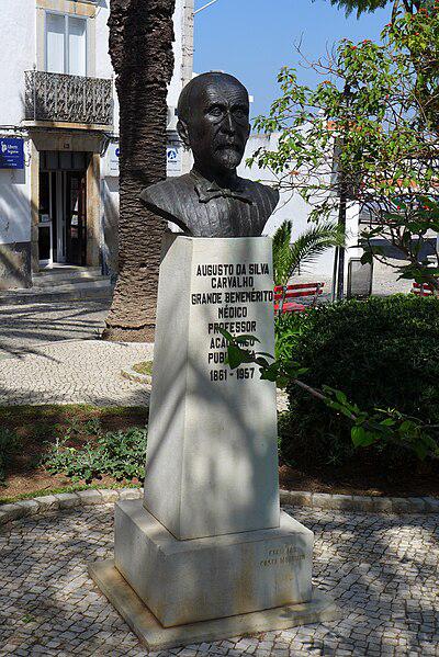 Photograph of Augusto da Silva Carvalho
