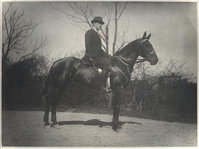 Photograph of John Quinn