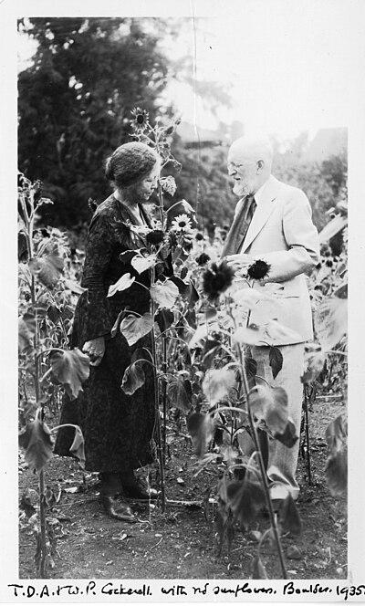 Photograph of Wilmatte Porter Cockerell