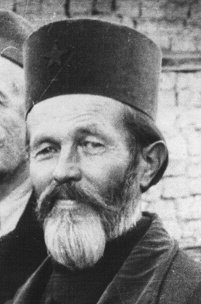 Photograph of Jevstatije Karamatijević