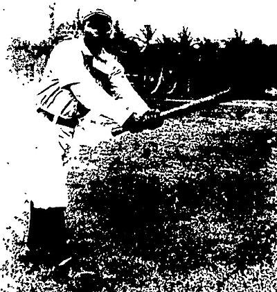 Photograph of Frank Duncan I