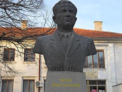 Photograph of Boyan Balgaranov