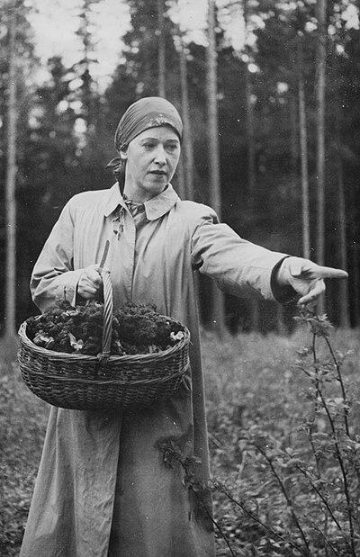 Photograph of Elo Tuglas