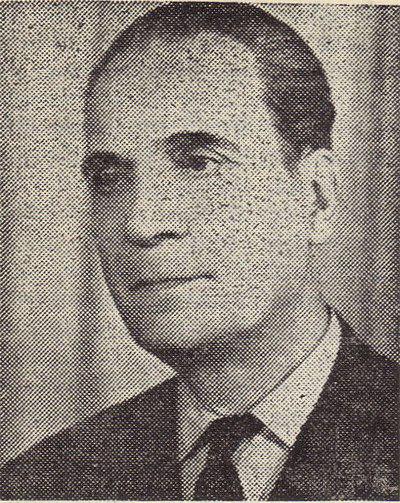 Photograph of Vladimir Streinu